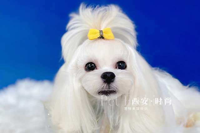 西安時尚